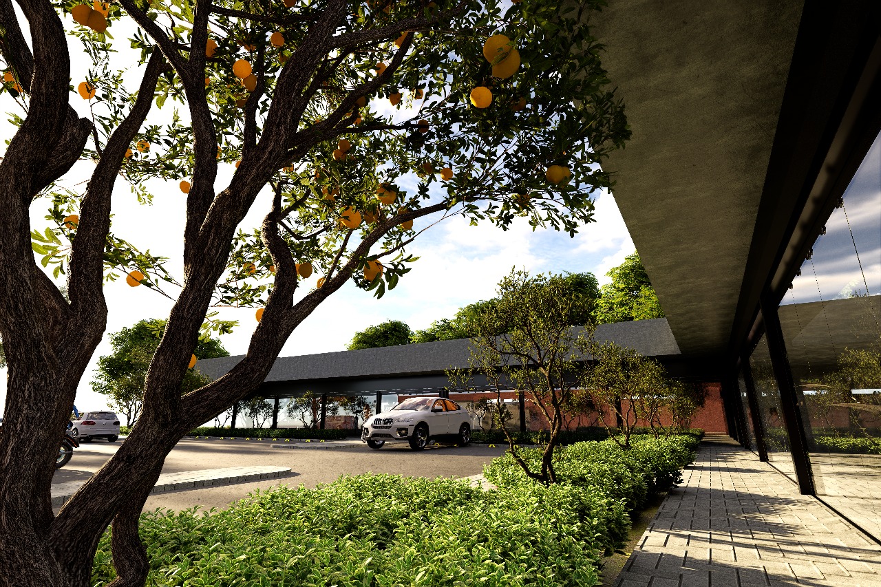 Plaza comercial | Ciudad Caucel